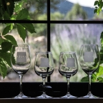 Nationally Award-Winning Wineries